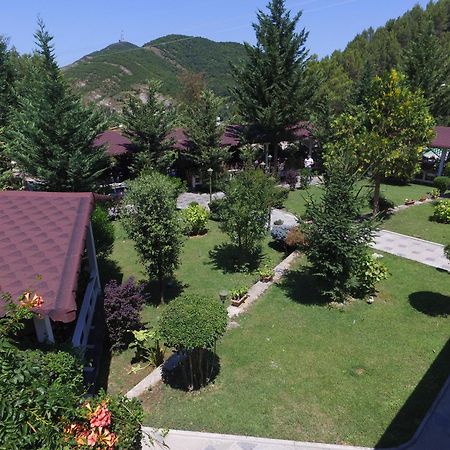 Hotel Elvis Mjull-Bathore Bagian luar foto